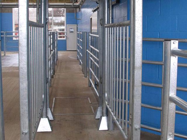 Cow Handling Segregation Gate 02